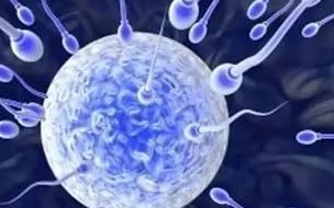 辽宁2026试管医院名单整理，附其他试管怀孕医院排名