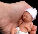 做试管婴儿成功几率高吗？是多少？