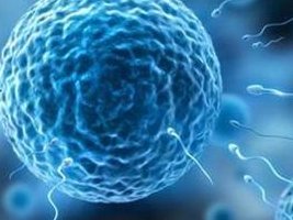 2026年泰国试管婴儿机构，未婚人士费用指南