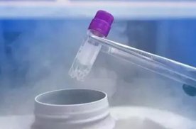 成都助孕试管助孕机构靠谱吗？全面解析服务质量与成功率