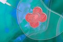 2026年拉拉去岳阳市妇幼做三代试管生孩子可以吗？要多少钱？