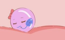 荆州三代试管婴儿费用怎么算？