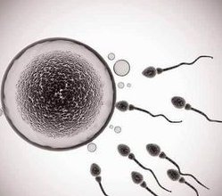 2026年没有卵泡去青岛做试管三代的成功率有多高？可以达到百分之50%