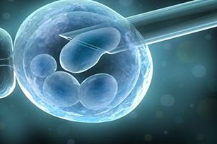 温州三代试管婴儿成功率高的医院有多少家？附三代试管婴儿机构参考号