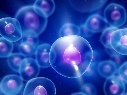 宁波第三代试管婴儿生孩子价格一览，附2026年生孩子费用全攻略